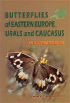 Butterflies of Eastern Europe, Urals and Caucasus: An Illustrated Guide