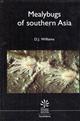 Mealybugs of southern Asia