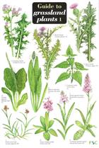 Guide to Grassland Plants 1 (Identification Chart)