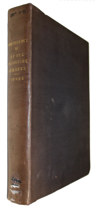 Bower, F.O. - Studies in the Morphology of Spore-producing Members