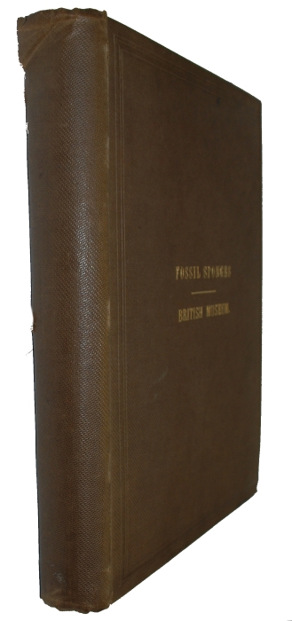 Hinde, G.J. - Catalogue of the Fossil Sponges in the Geological Department of the British Museum (Natural History)