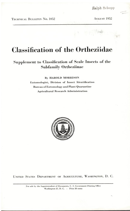 Morrison, H. - Classification of the Ortheziidae Supplement to Classification of Scale Insects of the Subfamily Ortheziinae