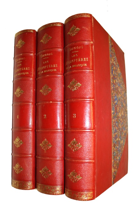 Dubois, Charles Frdric; Dubois, Alphonse Joseph Charles - Les Lpidoptres de la Belgique leurs Chenilles et leurs Chrysalides dcrits et figurs d'aprs nature