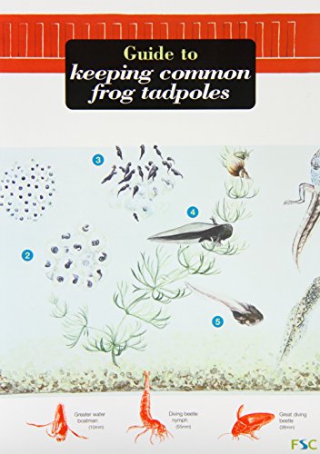 Oxford, R.; Sutton, A. - Guide to Keeping Common Frog Tadpoles (Identification Guide)