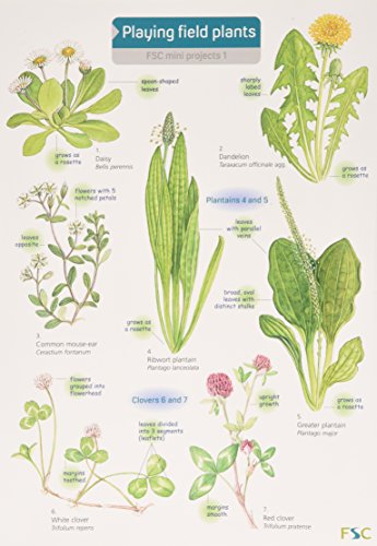 Farley, R.; Roberts, C. - Playing Field Plants (Identification guide)