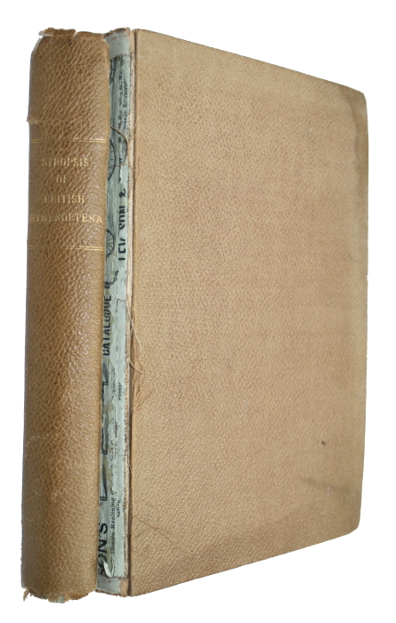 Saunders, E. - Synopsis of British Hymenoptera 1: Heterogyna and Fossorial Hymenoptera; 2: Diploptera and Anthophila Pt 1, to end of Andrenidae; 3: Anthophila Pt 2, Apidae