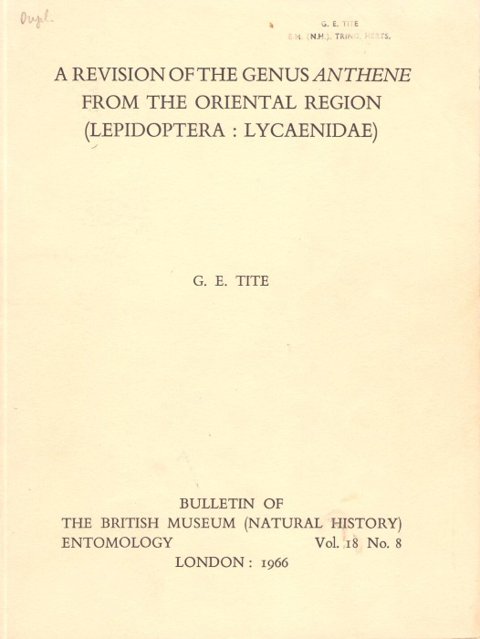 Tite, G.E. - A Revision of the Genus Anthene from the Oriental Region (Lepidoptera: Lycaenidae)