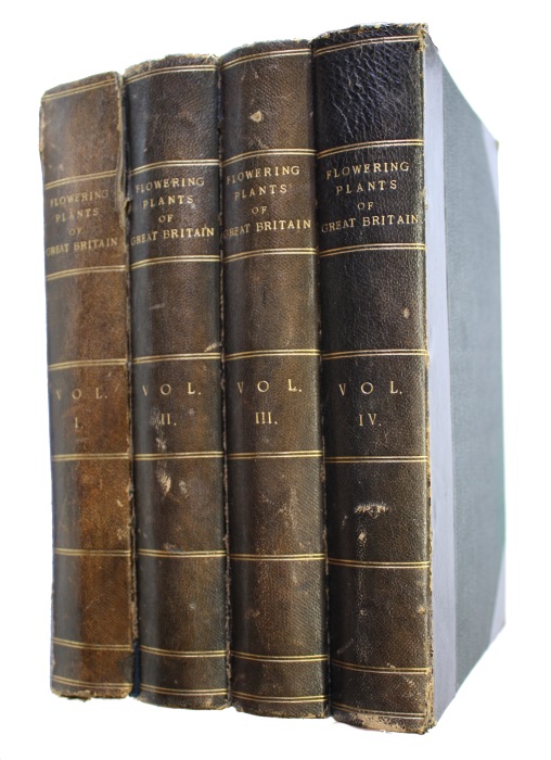 Pratt, A.; Step, E. - The Flowering Plants, Grasses, Sedges & Ferns of Great Britain. Vol. I-IV