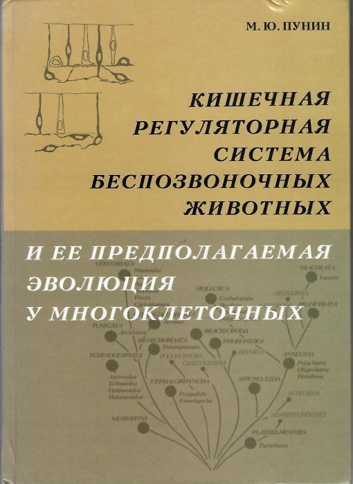 Punin, M.Yu. - Intestinal Regulatory System of Invertebrates and its possible Evolution in Metazoa