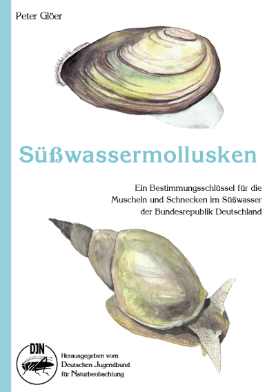 Gloer, P.; Meier-Brook,C. - Swassermollusken: Ein Bestimmungsschlssel fr die Muscheln und Schnecken im Swasser der Bundesrepublik Deutschland