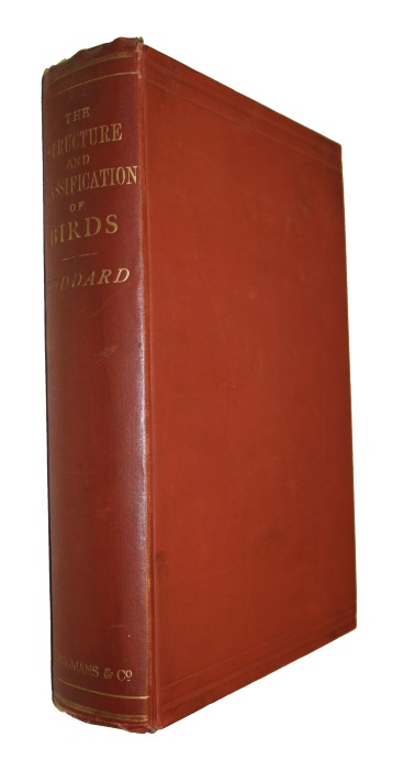 Beddard, F.E. - The Structure and Classification of Birds