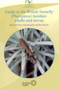 Pryce, D.; Macadam, C.; Brooks, S. - Guide to the British Stonefly (Plecoptera) families: adults and larvae
