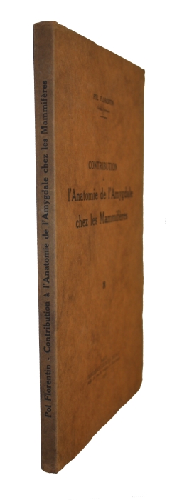 Florentin, P - Contribution l'Anatomie de l'Amygdale chez les Mammiferes