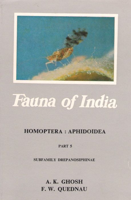 Ghosh, A.K.; Quednau, F.W. - Homoptera: Aphidoidea 5: Drepanosiphinae (Fauna of India)