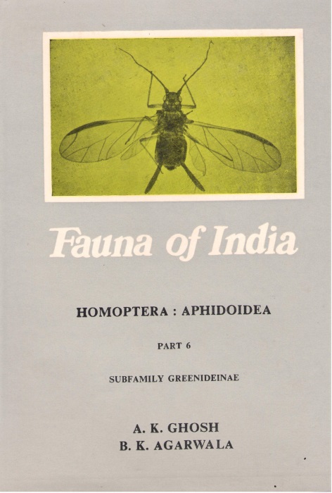 Ghosh, A.K.; Agarwala, B.K. - Homoptera: Aphidoidea 6: Greenideinae (Fauna of India)