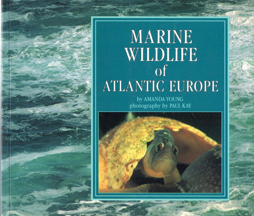 Young, A. - Marine Wildlife of Atlantic Europe