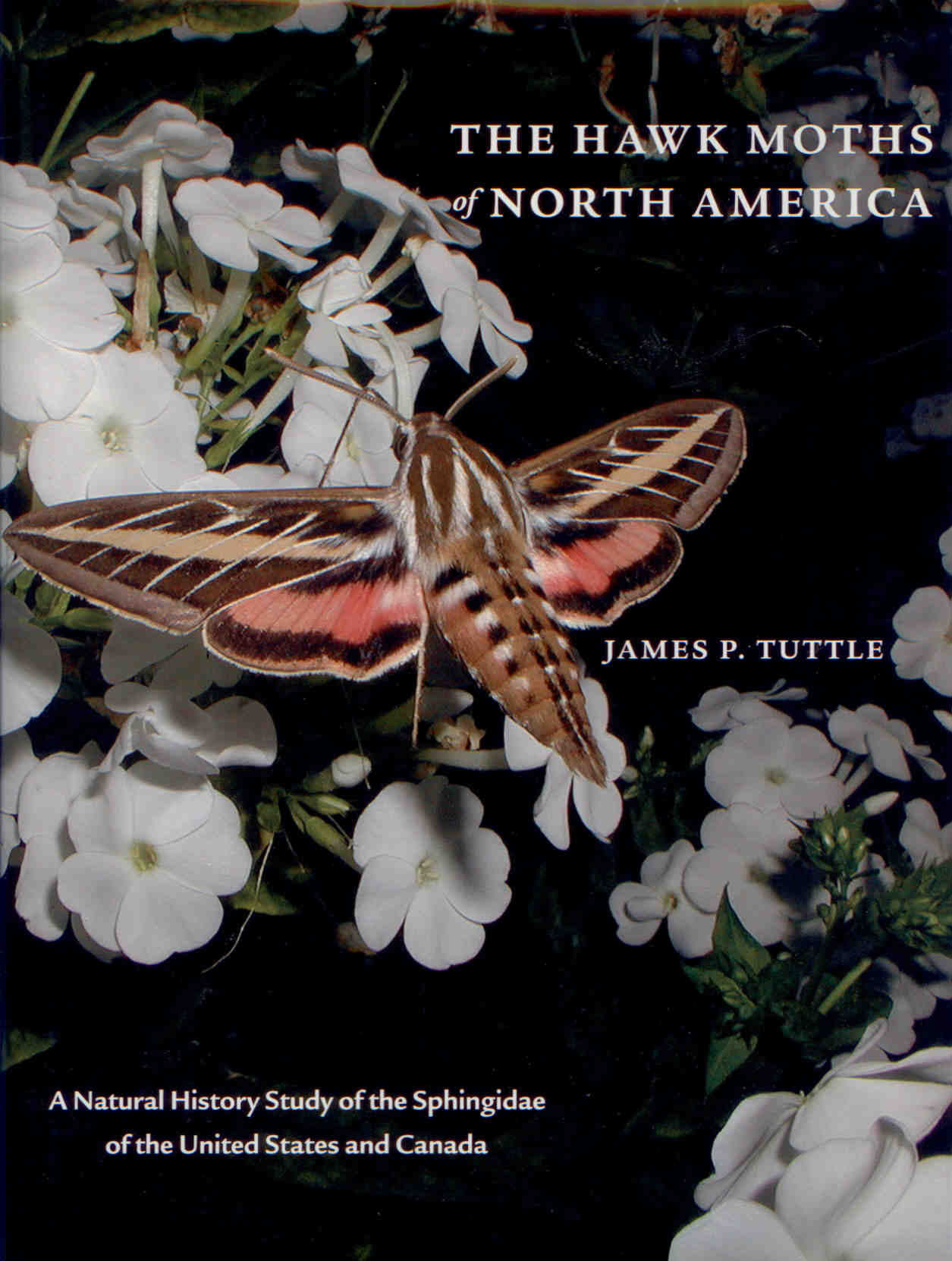 Tuttle, J.P. - The Hawk Moths of North America: A Natural History Study of the Sphingidae of the United States and Canada
