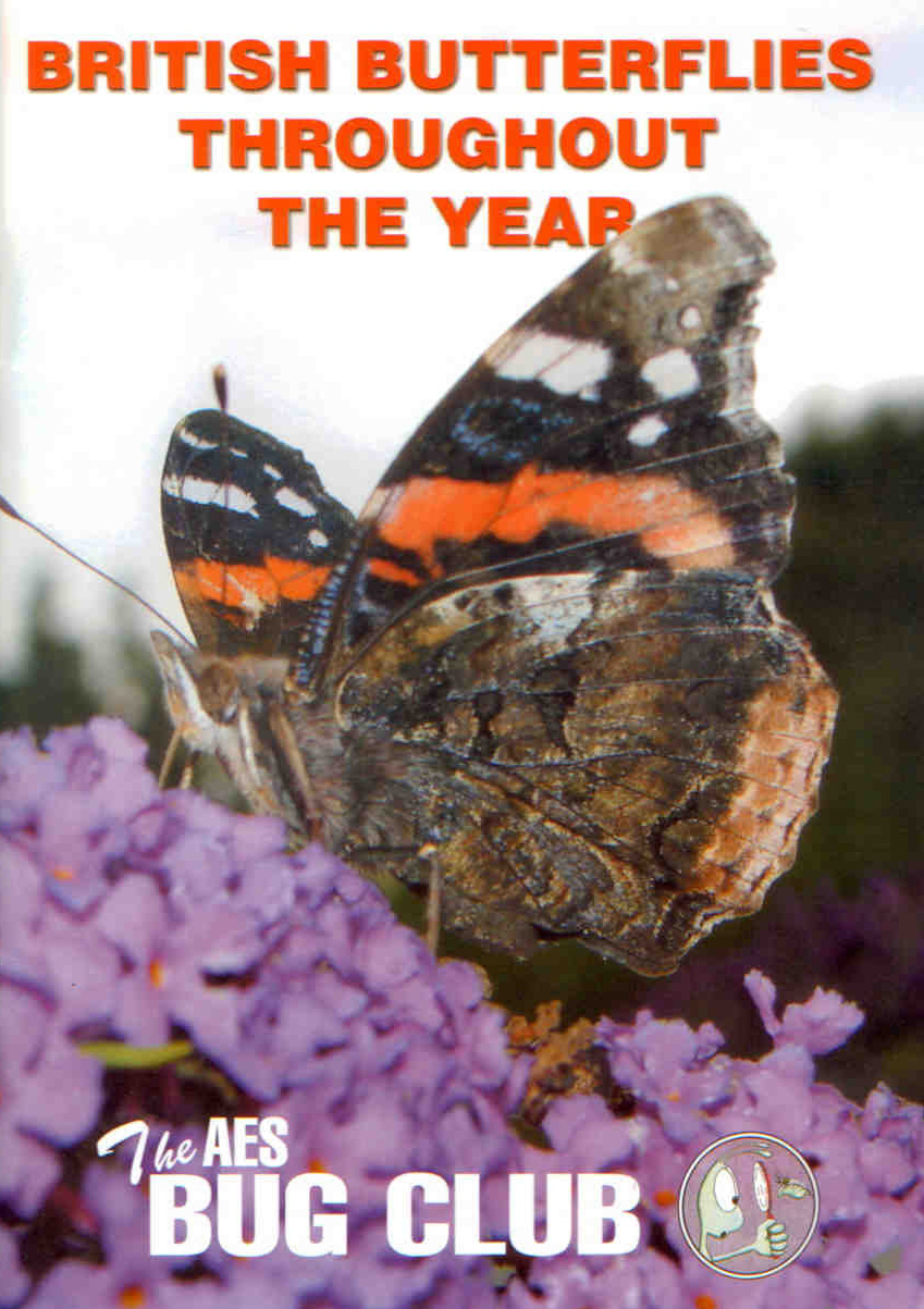 May, P. - British Butterflies Throughout the Year