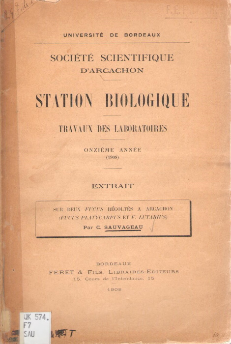Sauvageau, C. - Sur deux Fucus Recoltes A Arcachon (Fucus platycarpus et F. lutarius)