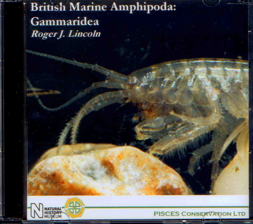 Lincoln, R.J. - British Marine Amphipoda: Gammaridea