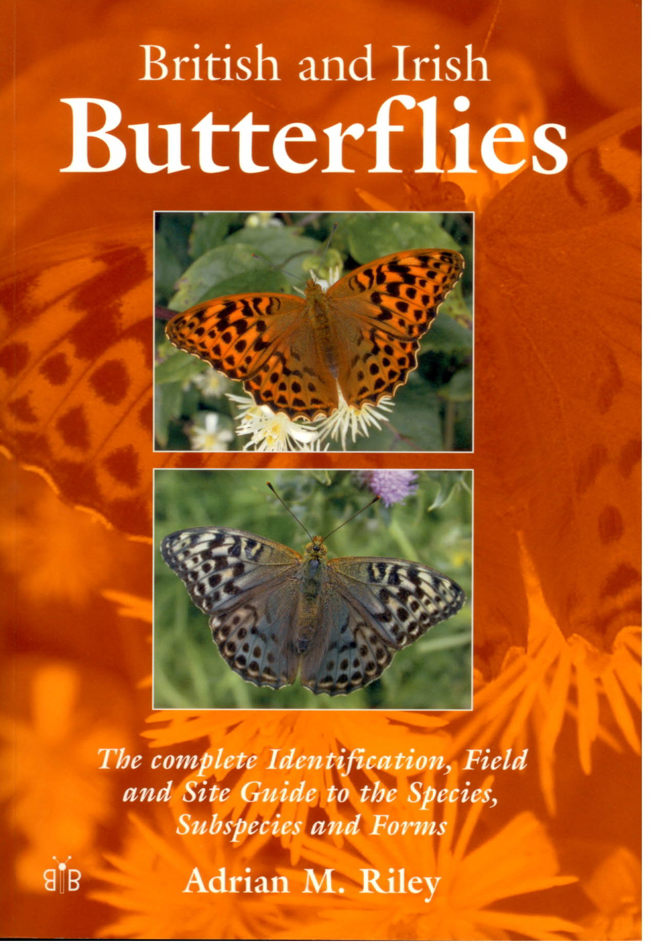 Riley, A.M. - British and Irish Butterflies: The complete Identification, Field and Site Guide to the Species, Subspecies and FormsSubspecies and Forms