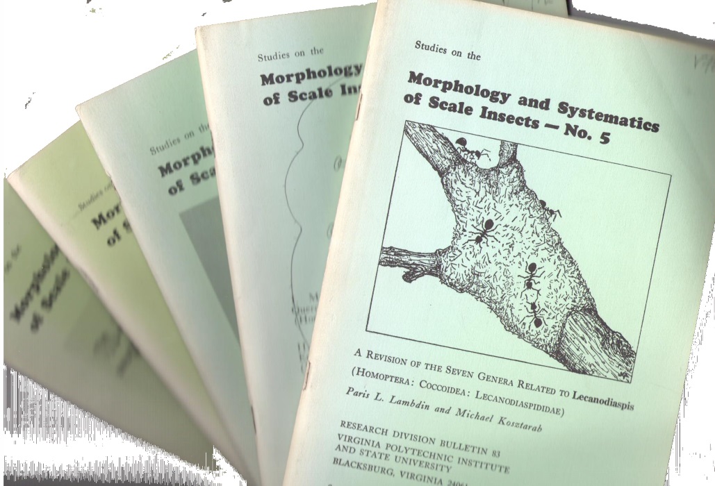 Lambdin, P.L.; Kosztarab, M. et al - Studies on the Morphology and Systematics of Scale Insects: Nos 5-7, 9-10