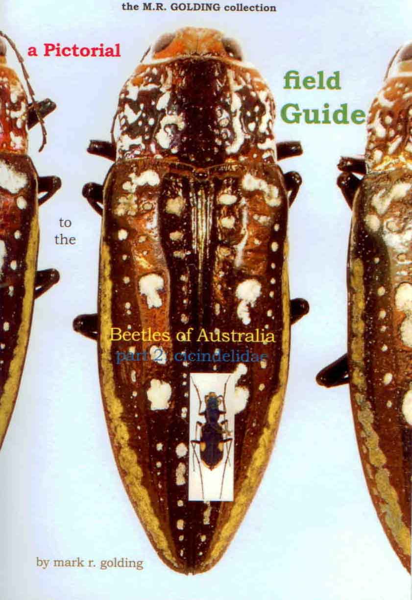 Golding, M.R. - A Pictorial Field Guide to the Beetles of Australia. Part 2: Cicindelidae
