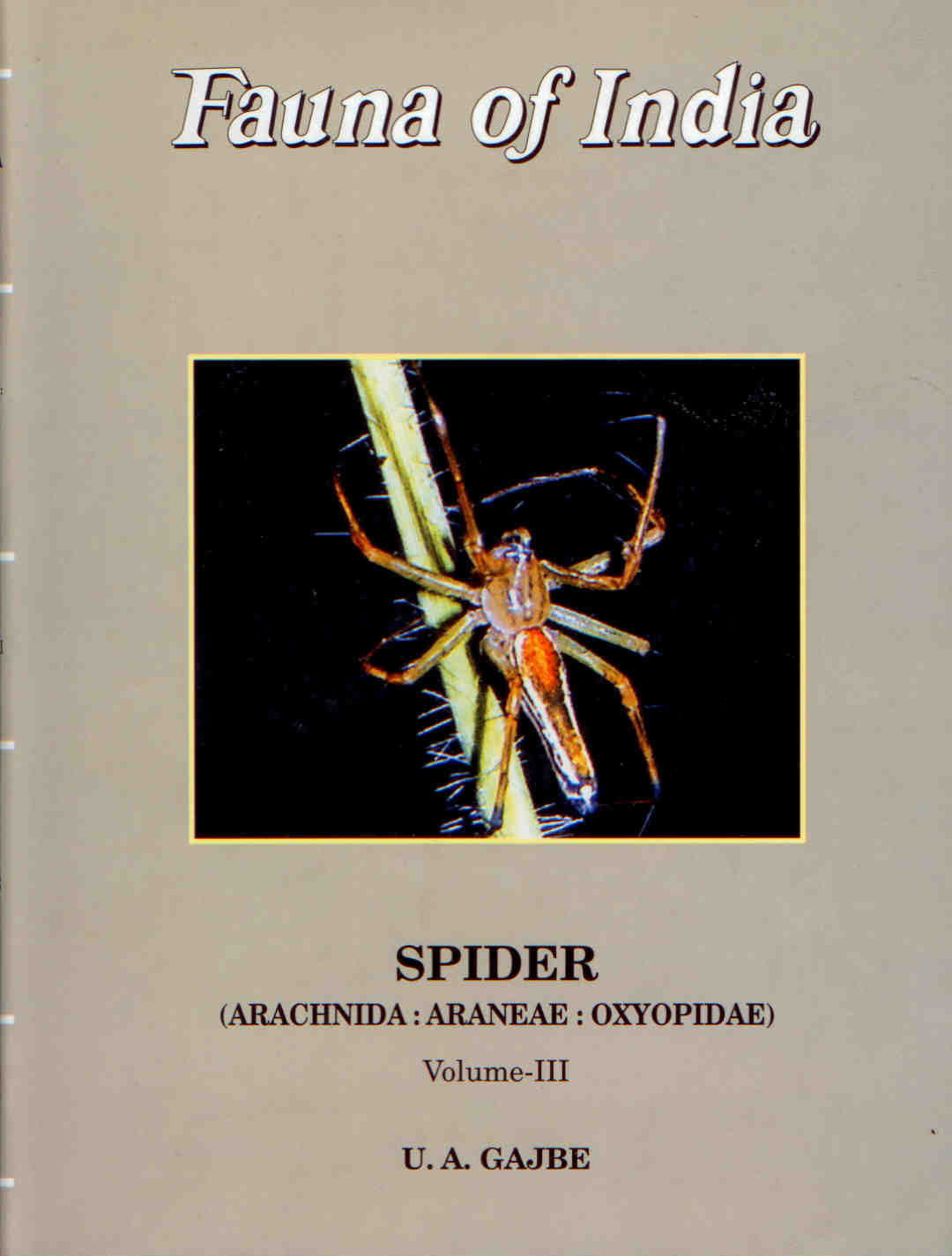 Gajbe, U.A. - Fauna of India: Spider Vol. III: Arachnida: Araneae: Oxyopidae