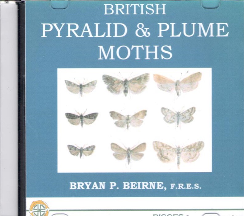 Beirne, B.P. - British Pyralid and Plume Moths