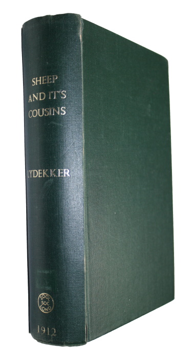 Lydekker, R. - The Sheep and its Cousins