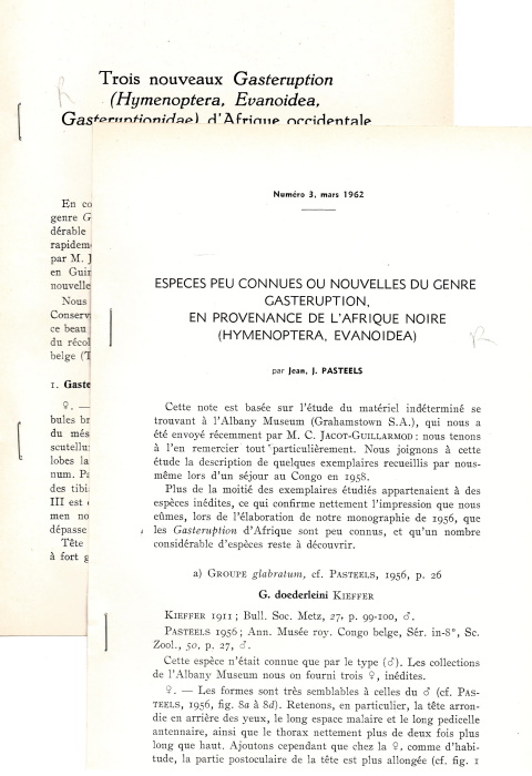Pasteels, J.J. - Collection of 4 papers on Evanoidea (Hymenoptera). 1957-1962