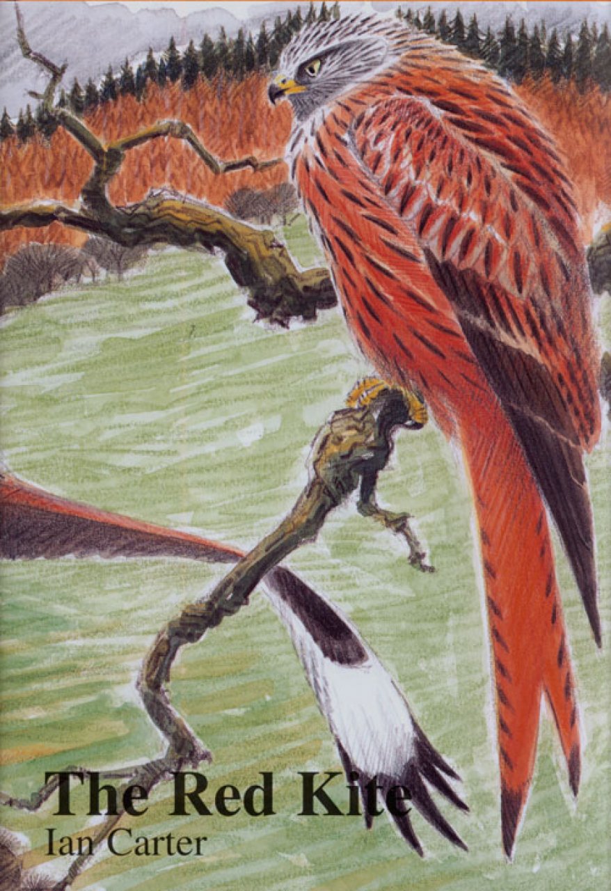 Carter, I. - The Red Kite