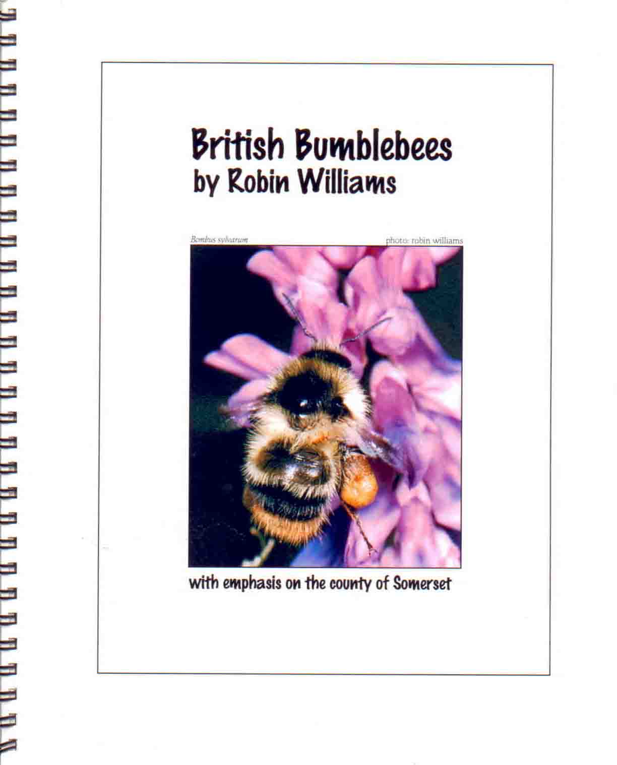 Williams, R. - British Bumblebees: their descriptions, life-styles and plant hosts with particular reference to the county of Somerset