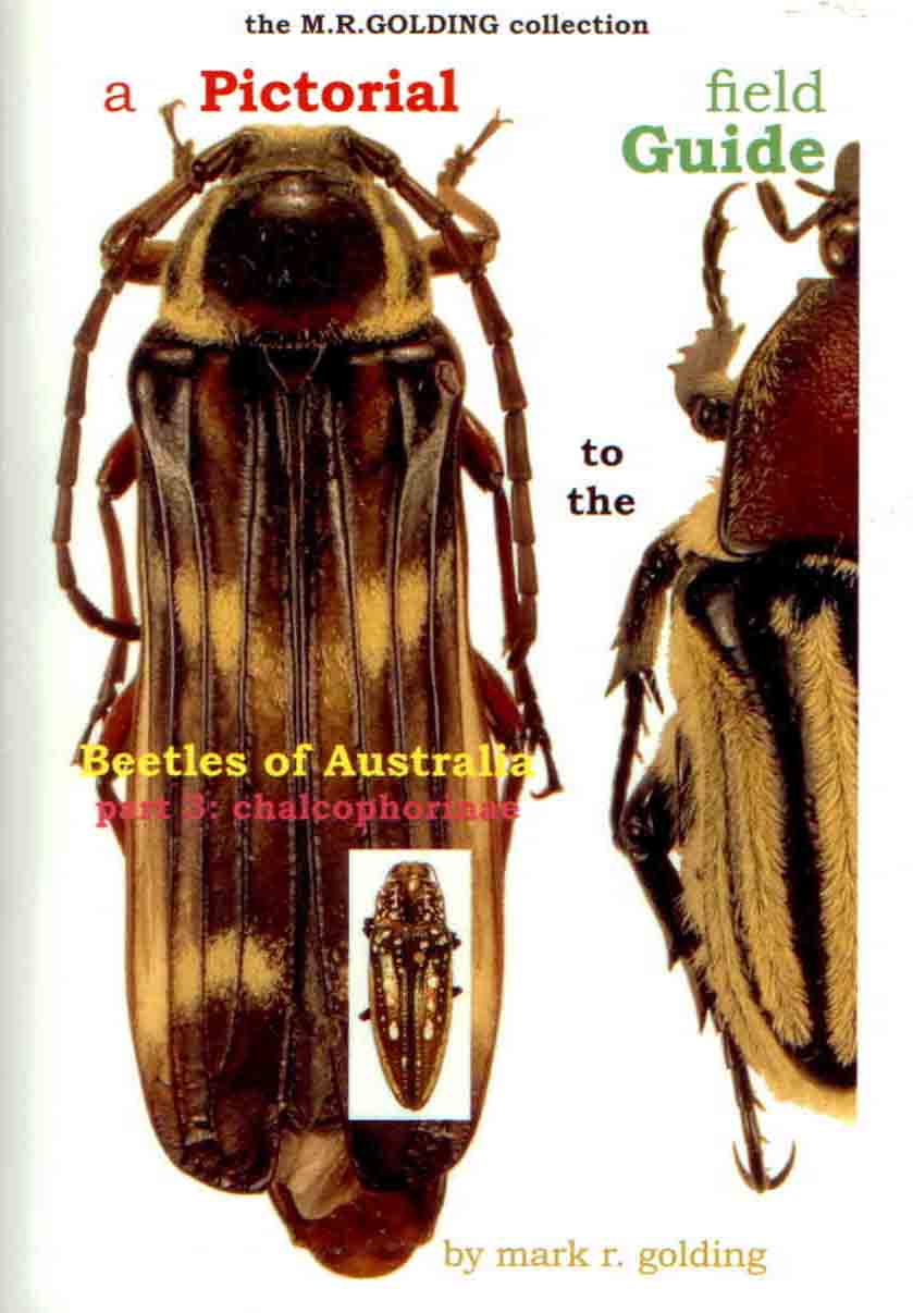 Golding, M.R. - A Pictorial Field Guide to the Beetles of Australia. Part 3: Chalcophorinae
