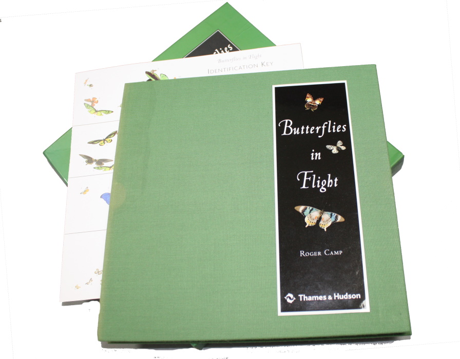 Camp, R. - Butterflies in Flight