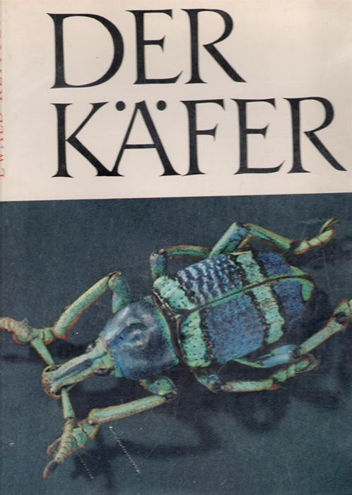 Reitter, E. - Der Kfer: Ein Wunder der Schpfung