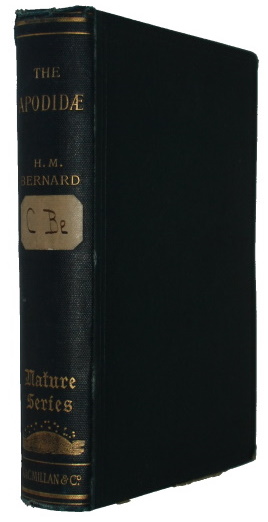 Bernard, H.M. - The Apodidae: A Morphological Study