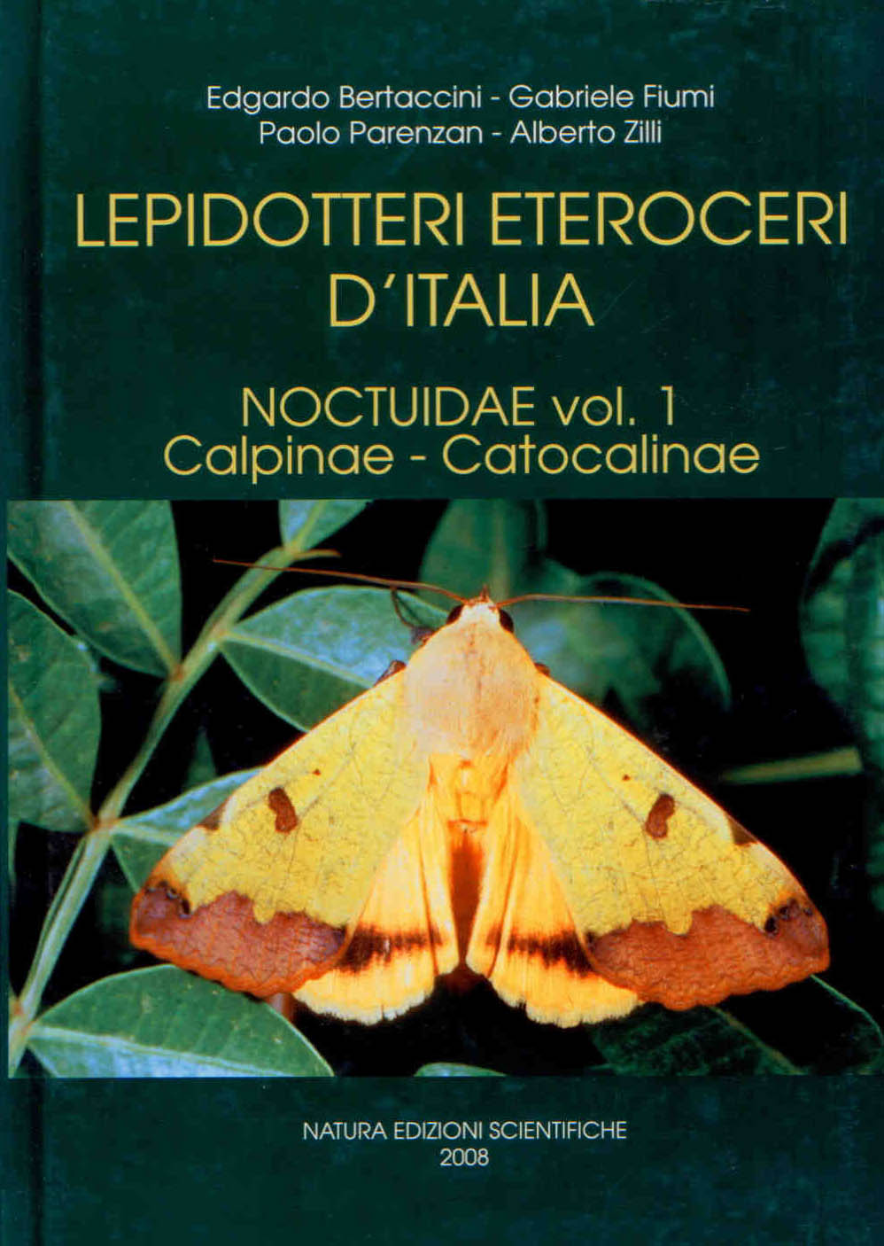 Bertaccini, E.; Fiumi, G.; Parenzan, P.; Zilli, A. - Lepidotteri Eteroceri d'Italia: Noctuidae 1: Calpinae - Catocalinae I
