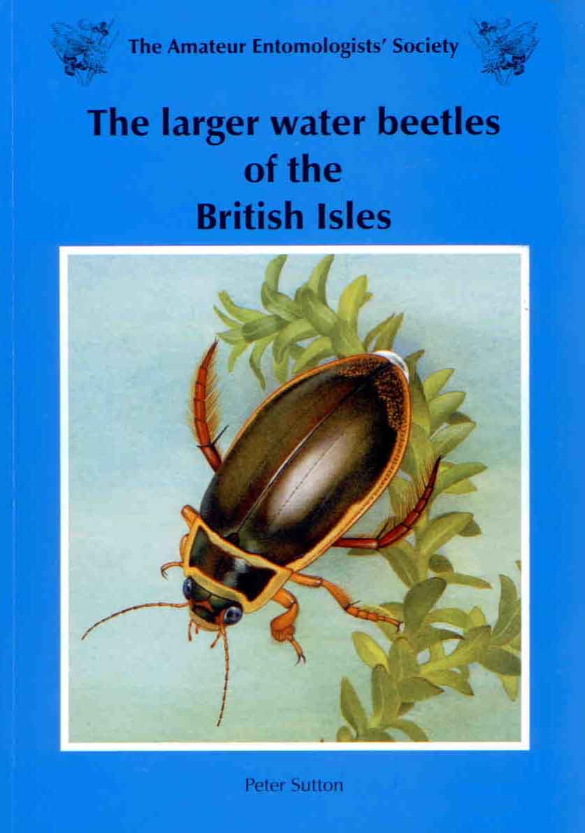 Sutton, P. - The larger water beetles of the British Isles