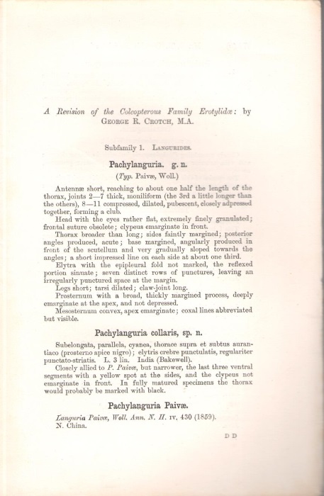 Crotch, G.R. - A Revision of the Coleopterous Family Erotylidae