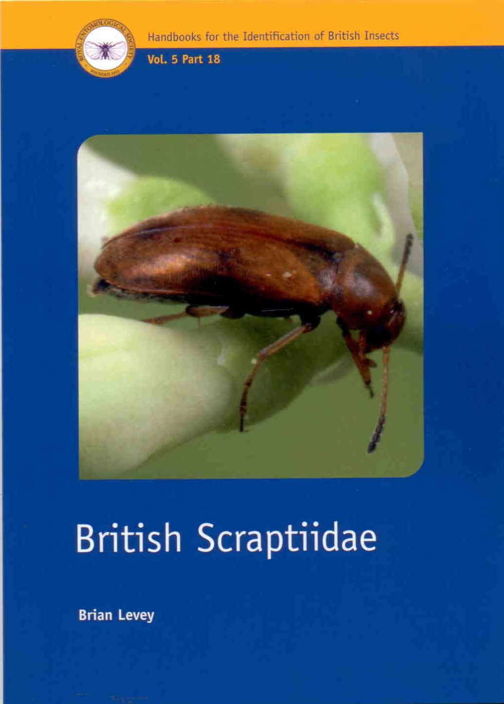 Levey, B. - British Scraptiidae (Coleoptera) (Handbooks for the Identification of British Insects 5/18)