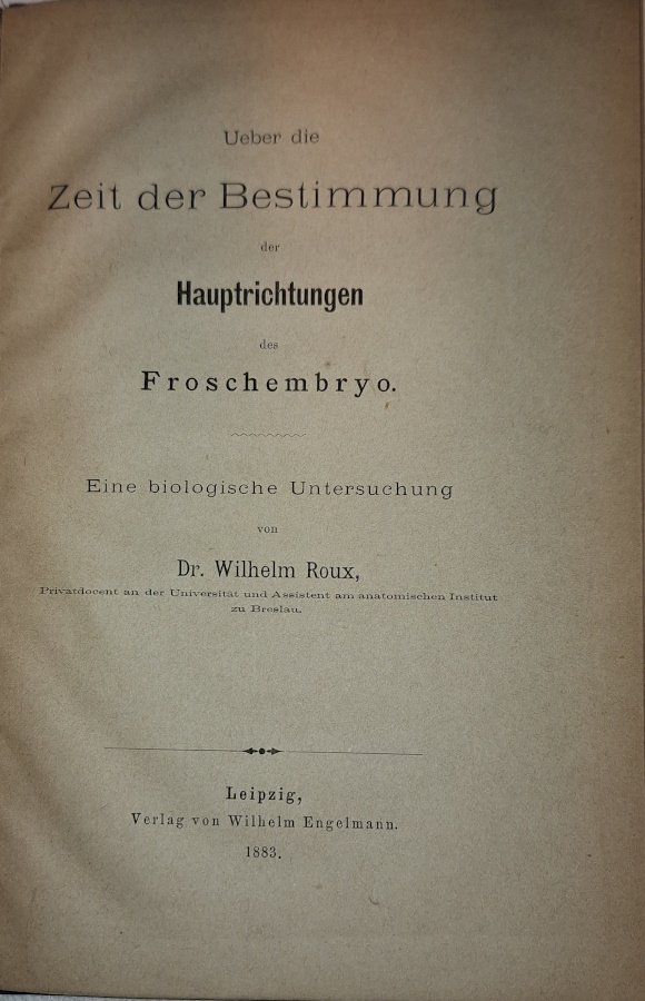 Roux, Wilhelm - Ueber die Zeit der Bestimmung der Hauptrichtungen des Froschembryo: Eine biologische Untersuchung
