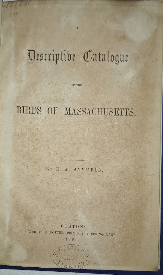Samuels, E.A. - Descriptive Catalogue of the Birds of Massachusetts