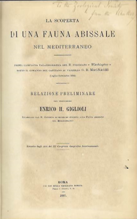 Giglioli, E.H. - La Scoptera di Una Fauna Abissale nel Mediterraneo