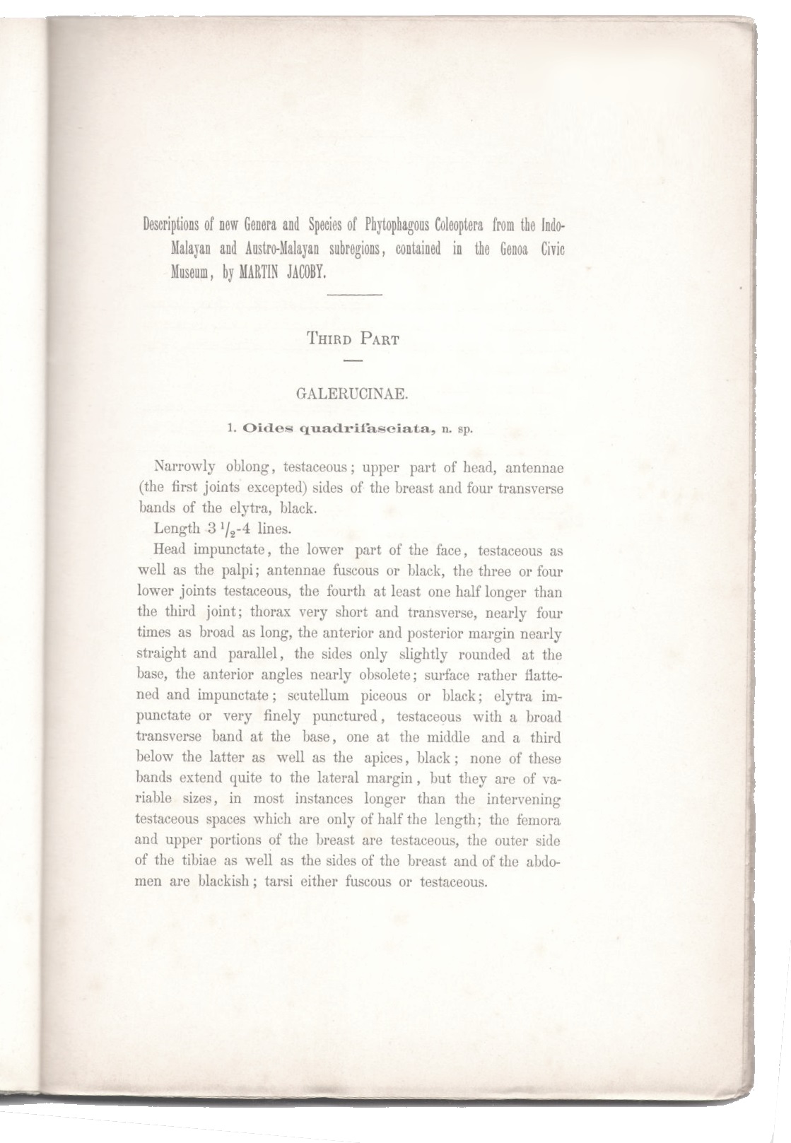 Jacoby, M. - Description of the New Genera and Species of the Phytophagous Coleoptera from the Indo-Malayan and Austro-Malayan subregions, contained in the Genoa Civic Museum. Part 3