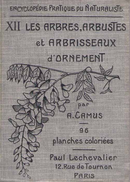Camus, A. - Les Arbres, Arbustes et Arbrisseaux d'Ornement