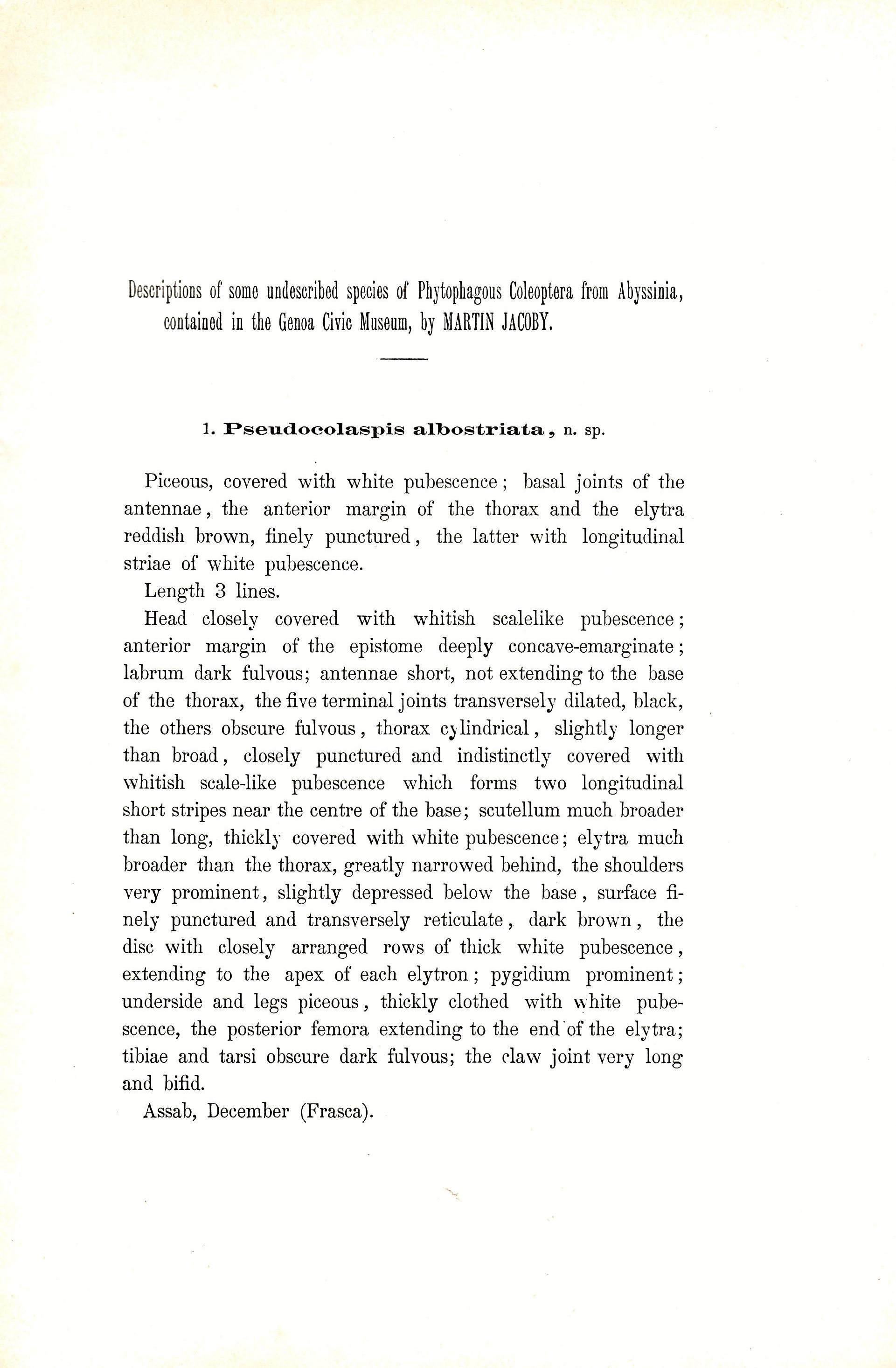 Jacoby, M. - Descriptions of some undescribed species of Phytophagous Coleoptera from Abyssinia contained in the Genoa Civic Museum