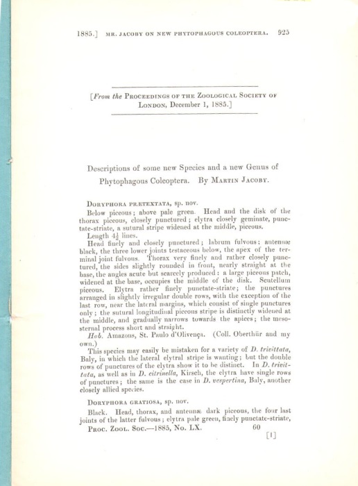 Jacoby, M. - Descriptions of some New Species and a New Genus of Phytophagous Coleoptera