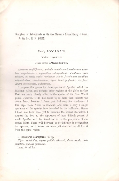 Gorham, H.S. - Descriptions of Malacodermata in the Civic Museum of Natural History at Genoa