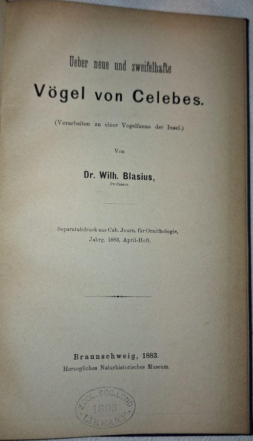 Blasius, W. - Ueber Neue und zweifelhafte Vgel von Celebes